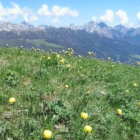 Apartment Martin Neustift im Stubaital