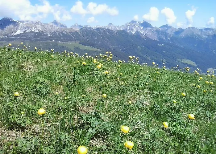 Apartamento Martin Neustift im Stubaital